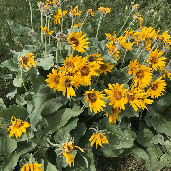 Meet your Posher, Keilah - Picture 4 of 5